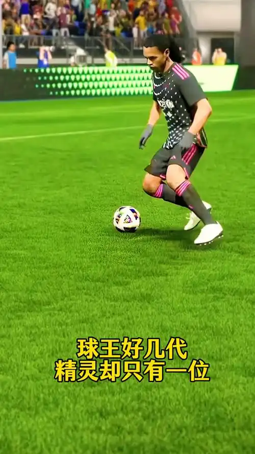 她职业生涯